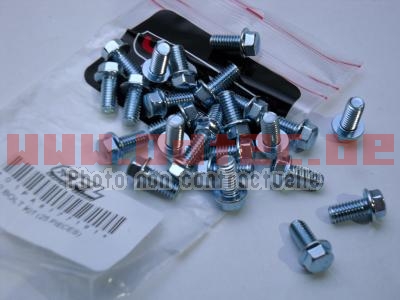 Set de boulon special M6*12 mm (X10 PC) - 893176. boulon,special,M6*12,(X10,boulon,spécial,quad,Sachet,pièces,Idéal,pour,partie,cycle,fixation,carrosserie,avoir,absolument,dans,votre,camionnette,lors,déplacement,modèle,fréquemment,utilisé,lors,assemblage