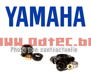 KIT DE ROULEMENTS REMISE EN ORDRE FIXATION COLONNE AU CHASSIS YAMAHA GRIZZLY/WOLVERINE/KODIAK - PAGE 205 (cata2019)04100171(PWSSK-Y06-450)/04100269((PWSSK-Y09-000). ROULEMENTS,REMISE,ORDRE,FIXATION,COLONNE,CHASSIS,YAMAHA,GRIZZLY/WOLVERINE/KODIAK,ROULEMENTS,REMISE,ORDRE,FIXATION,COLONNE,CHASSIS,YAMAHA,NECESSAIRE,POUR,REMISE,ORDRE,PARTIE,HAUTE,NIVEAU,FIXATION,CHASSIS/COLONNE,REMISE,ORDRE,COLONNE,DISPOS,CI-DESSOUS,Restore,original