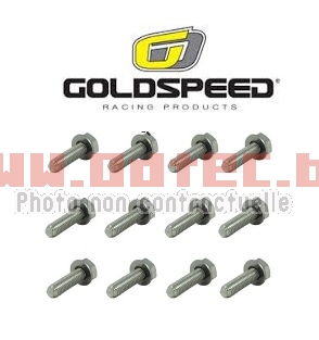 KIT ECROU FRETTE GOLDSPEED PHD M6 x 30 mm (1,00) - WG-NP0809/10. ECROU,FRETTE,GOLDSPEED,ECROU,FRETTE,GOLDSPEED,choix,pour,jante,avec,frettes,Goldspeed,8/9/10