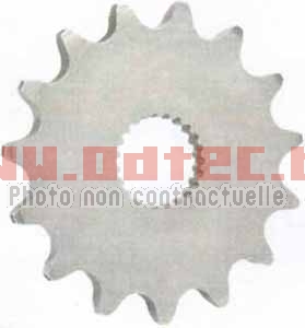 Pignon avant Can AM DS-450 (13 > 17)