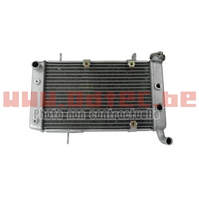 RADIATEUR ECONOMIQUE LTZ/KFX/DVX 400 - 19010588. RADIATEUR,ECONOMIQUE,LTZ/KFX/DVX,RADIATEUR,ECONOMIQUE,ACIER,Alternative,économique,origine,version,acier,dimension,identique,monte,facilement,modification,nécessaire