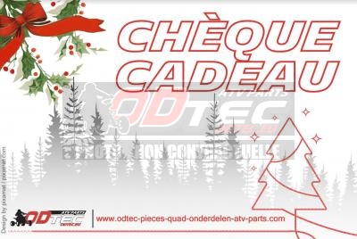 CHEQUE CADEAUX VALEUR 100 euro