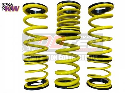 Kit ressorts K&W suspension YAMAHA RAPTOR 700 SPECIAL EDITION 15/22 - 20052113. ressorts,suspension,YAMAHA,RAPTOR,SPECIAL,EDITION,15/22,YAMAHA,RAPTOR,SPECIAL,EDITION,2015,2022,fabrication,allemande,mieux,connue,dans,monde,entier,pour,kits,suspension,pour,voitures,(DTM,WTCC,ressorts,livré,avec,double,ressor