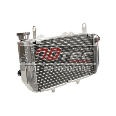 RADIATEUR DE REMPLACEMENT ARP YAMAHA YFZ 450 R > 09/13 - DRARADYFZR/82-H002-46. RADIATEUR,REMPLACEMENT,YAMAHA,09/13,RADIATEUR,REMPLACEMENT,YAMAHA,09/13,radiateur,aluminium,haute,performance,plus,volumineux,(Suivant,véhicule)﻿,radiateur,origine,efficacité,votre,système,refroidissement,sera,ainsi,améli